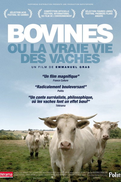 Póster de A Cow's Life