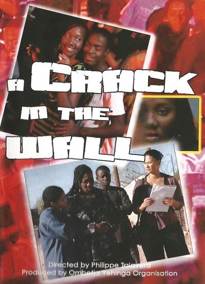 Póster de A Crack in the Wall