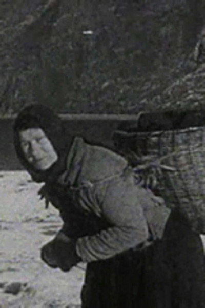 Póster de A Crofter's Life in Shetland