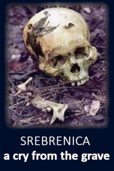 Póster de A Cry from the Grave