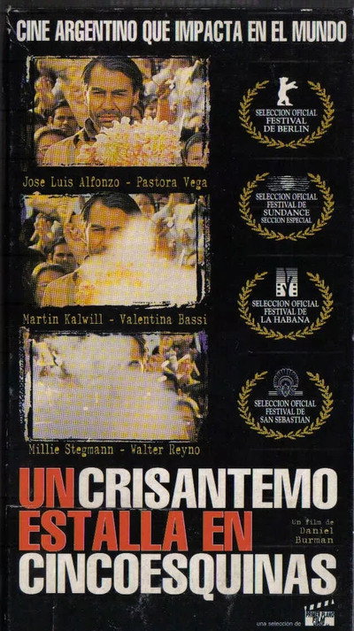 Póster de A Crysanthemum Bursts in Cincoesquinas