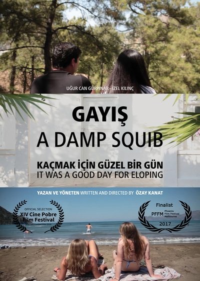 Póster de A Damp Squib