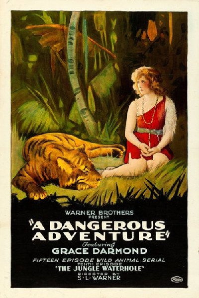 Póster de A Dangerous Adventure