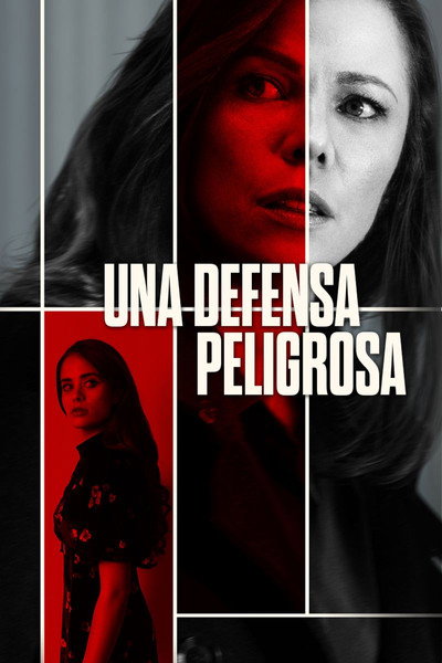 Póster de A Dangerous Defense