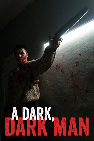 Póster de A Dark-Dark Man