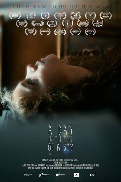 Póster de A Day in the Life of a Boy