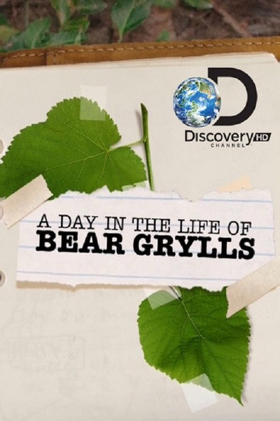 Póster de A Day in the Life of Bear Grylls
