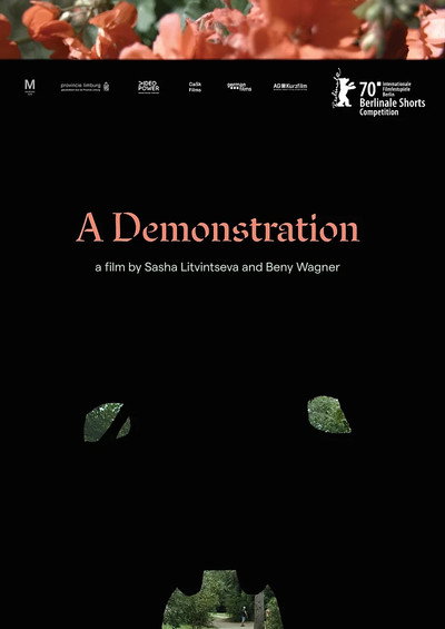 Póster de A Demonstration