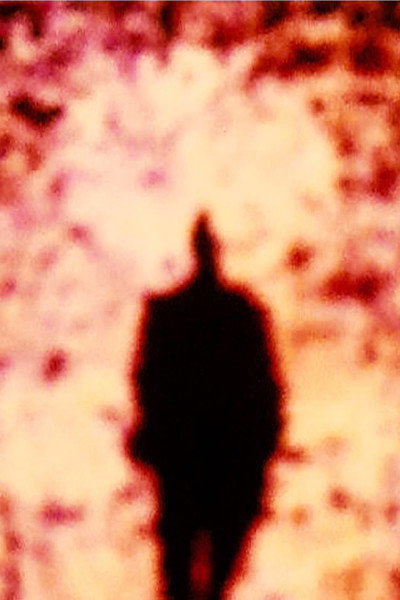Póster de A Densa Nuve, o Seio