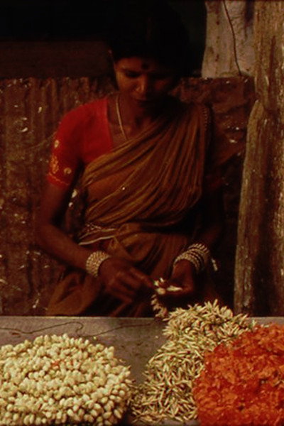 Póster de A Depression in the Bay of Bengal