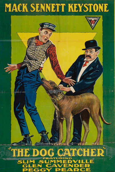 Póster de A Dog Catcher's Love