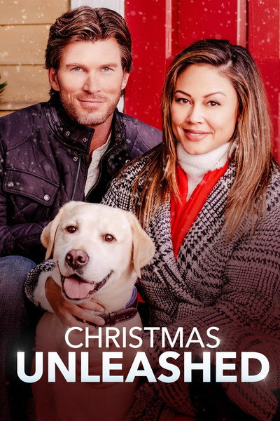Póster de A Doggone Christmas