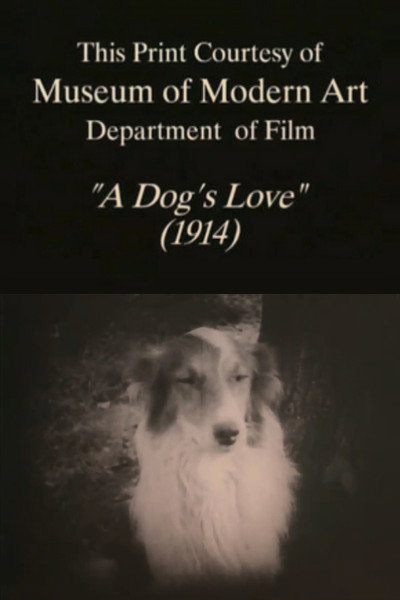 Póster de A Dog's Love