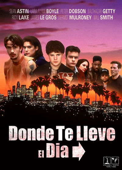 Póster de A donde te lleve el día