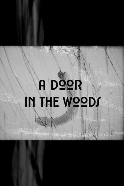 Póster de A Door in the Woods