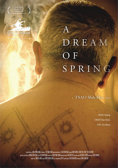 Póster de A Dream of Spring