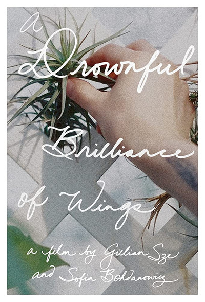 Póster de A Drownful Brilliance of Wings
