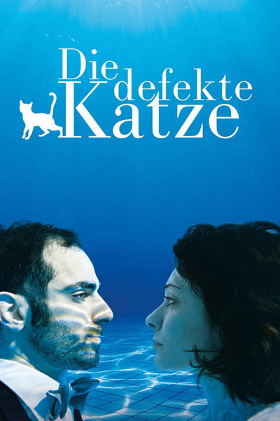 Póster de A Dysfunctional Cat