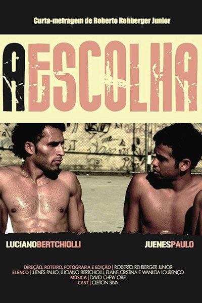 Póster de A Escolha