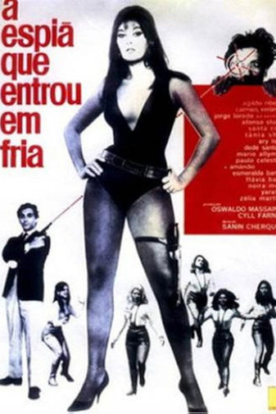 Póster de A Espiã Que Entrou em Fria