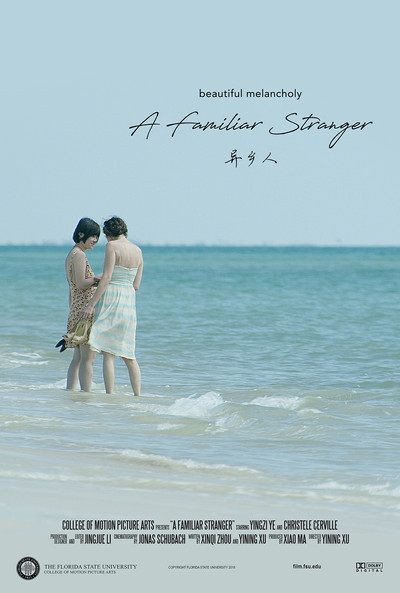 Póster de A Familiar Stranger