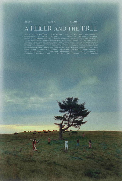 Póster de A Feller and the Tree