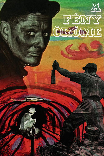 Póster de A fény öröme