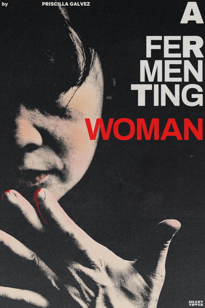 Póster de A Fermenting Woman