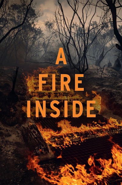 Póster de A Fire Inside