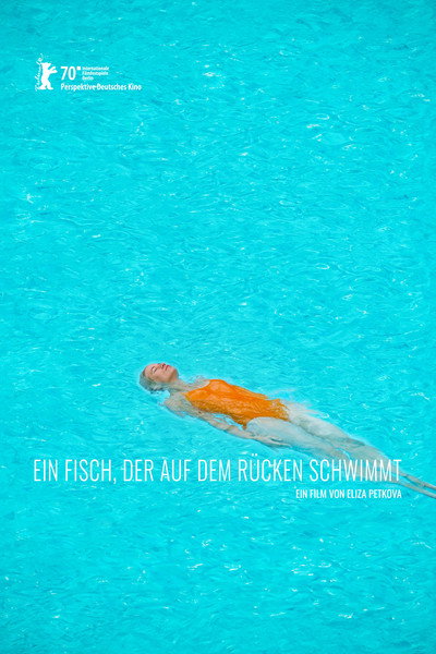 Póster de A Fish Swimming Upside Down