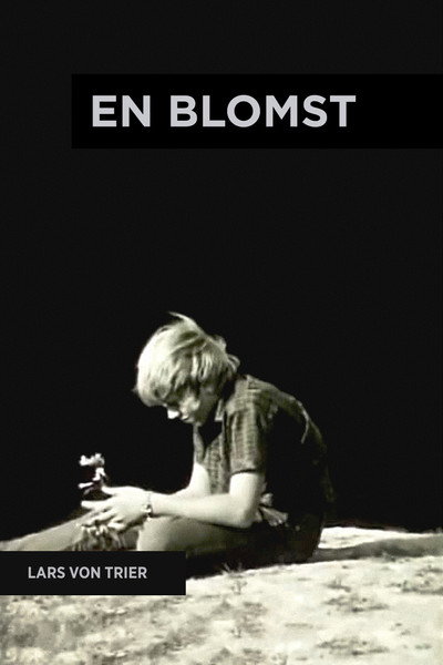 Póster de A Flower