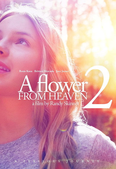 Póster de A Flower from Heaven 2