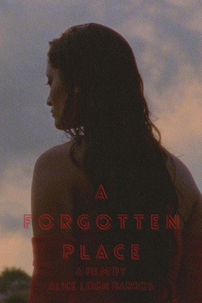 Póster de A Forgotten Place