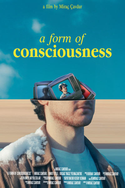 Póster de A Form of Consciousness