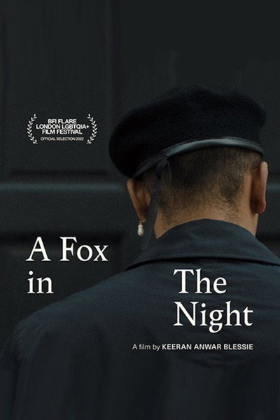 Póster de A Fox in the Night