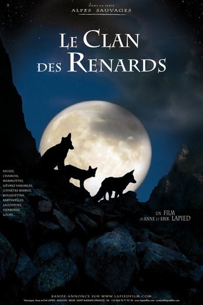 Póster de A Foxes' Tale
