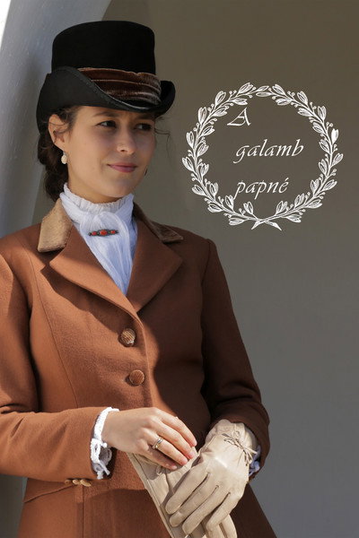 Póster de A galamb papné