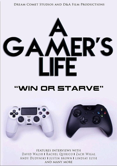 Póster de A Gamer's Life