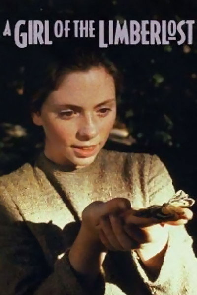 Póster de A Girl of the Limberlost