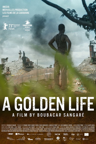 Póster de A Golden Life