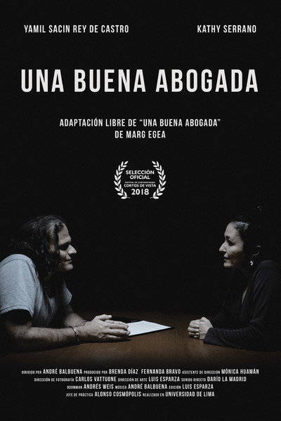 Póster de A Good Lawyer