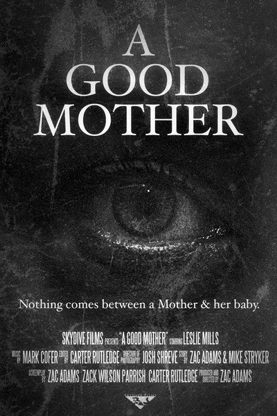 Póster de A Good Mother