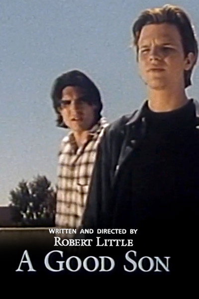 Póster de A Good Son