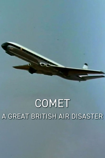 Póster de A Great British Air Disaster