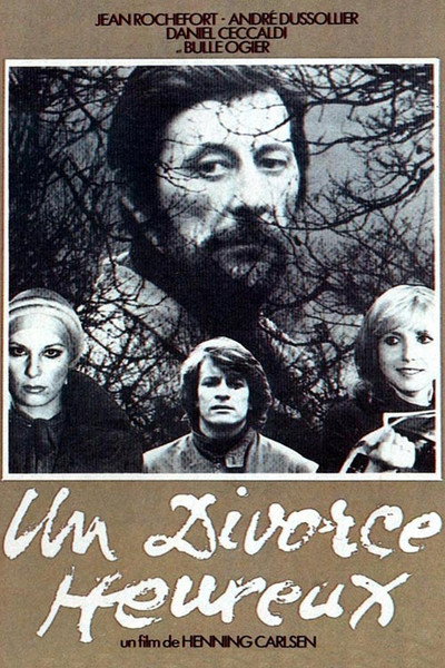 Póster de A Happy Divorce