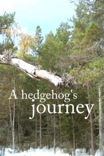 Póster de A Hedgehogs's Journey