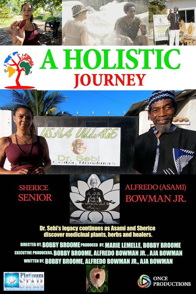 Póster de A Holistic Journey
