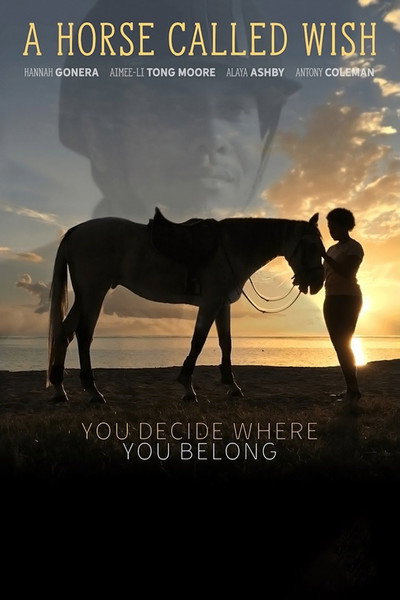 Póster de A Horse Called Wish