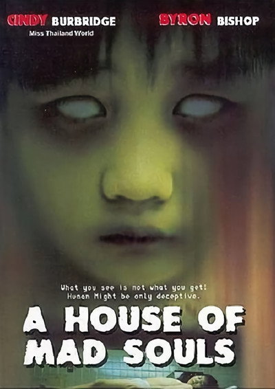 Póster de A House of Mad Souls