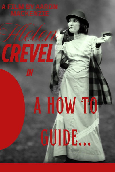 Póster de A How to Guide...